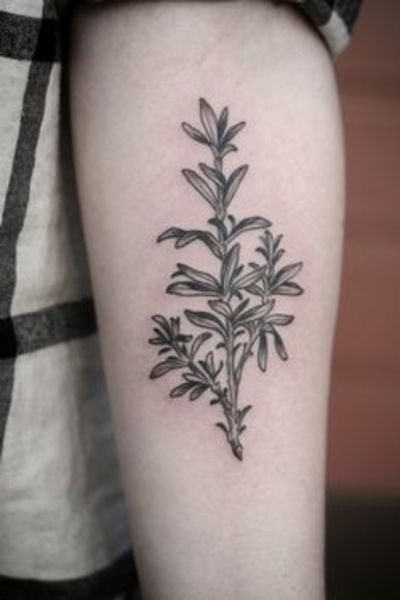 rosemary | Herb tattoo, Rosemary tattoo, Olive tattoo