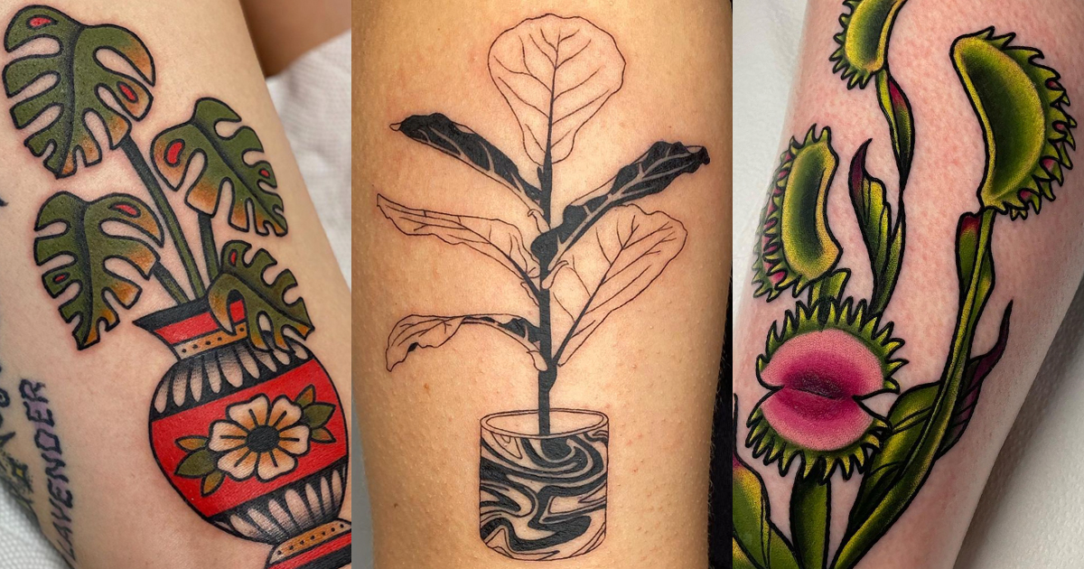 Monstera plant tattoo done by me! : r/Monstera