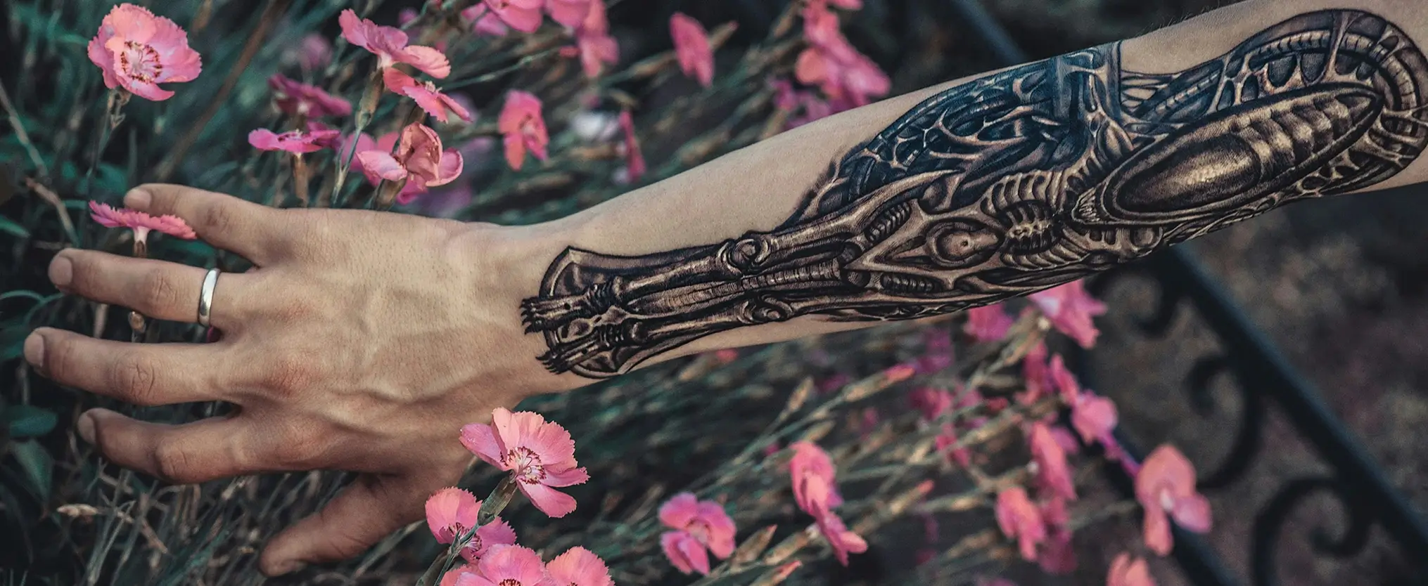 julia-kadel-healing-ink-banner