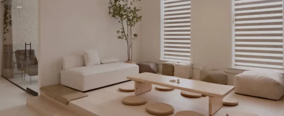 PingPing created NieU Studio