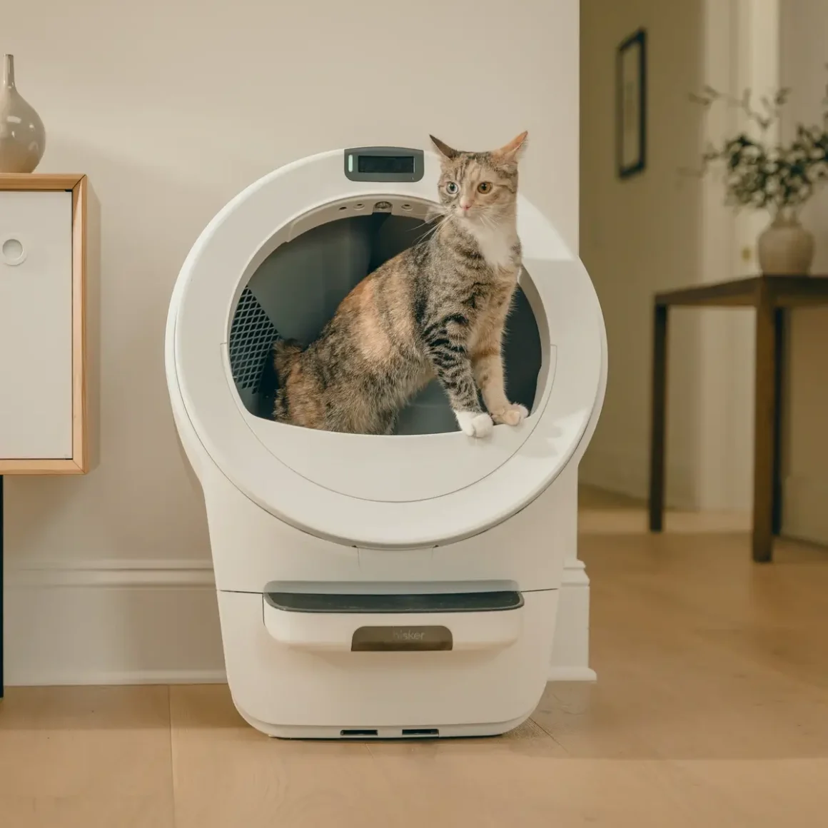 Litter-Robot 5